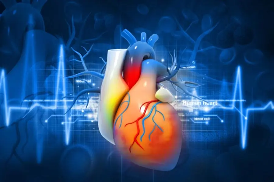 Sindrome di Brugada, ecco quali sono le conseguenze sul cuore